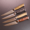 Steakknive sæt á 4 stk - Eclipses Series